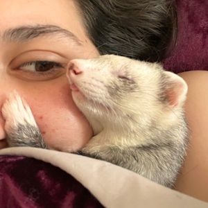 Meet your Posher, Sabrina